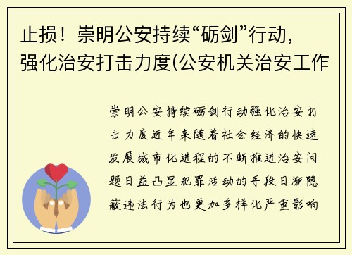 止损！崇明公安持续“砺剑”行动，强化治安打击力度(公安机关治安工作亮点)